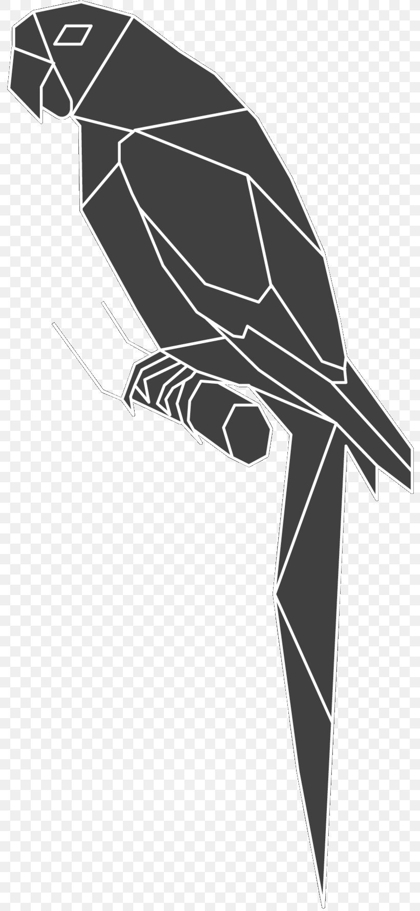 Bird Product Design Black & White, PNG, 809x1776px, Bird, Automotive Design, Beak, Bird Of Prey, Black M Download Free