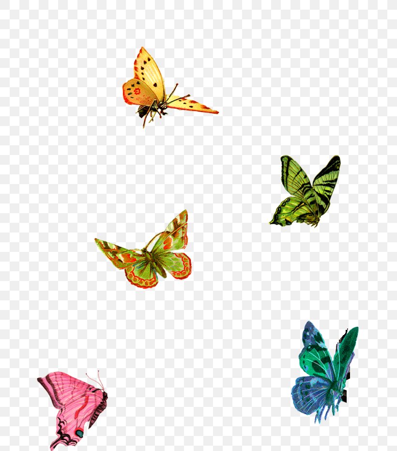 Butterfly Clip Art, PNG, 750x931px, Butterfly, Art, Backstitch, Blog, Brush Footed Butterfly Download Free