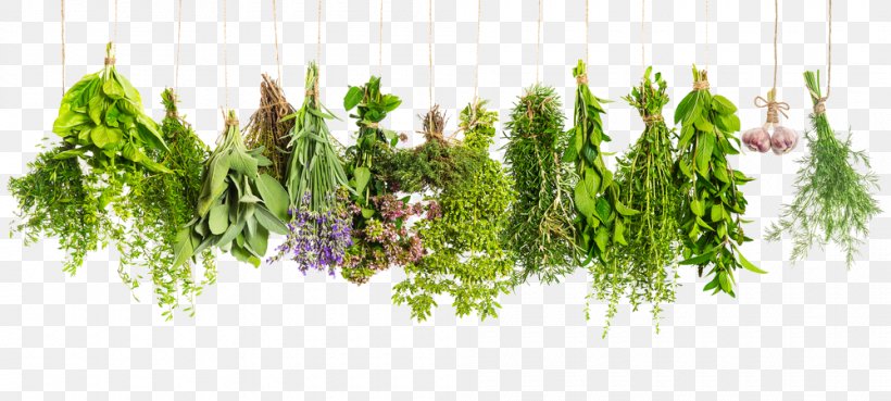 Herbes De Provence Vegetable Health, PNG, 1000x451px, Herb, Basil, Food, Fruit, Grass Download Free