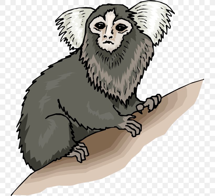 Monkey Pygmy Marmoset Clip Art, PNG, 738x750px, Monkey, Beak, Bird, Carnivoran, Common Marmoset Download Free