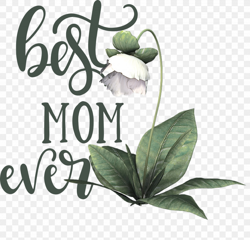 Mothers Day Best Mom Ever Mothers Day Quote, PNG, 3000x2884px, Mothers Day, Best Mom Ever, Commodity, Conflagration, Draft Document Download Free