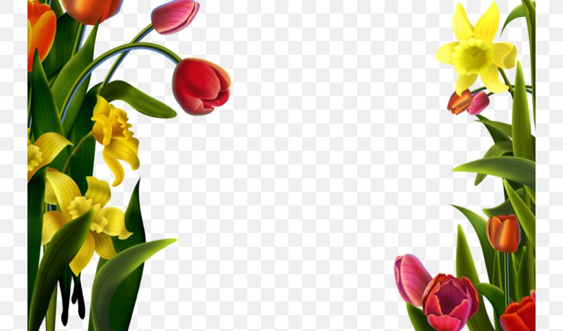 Picture Frame Download, PNG, 740x483px, Picture Frame, Animation, Cut Flowers, Flora, Floral Design Download Free