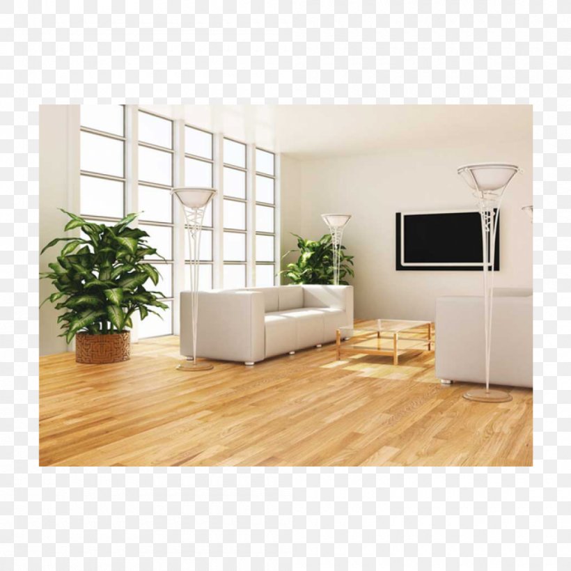 Plant Feng Shui Living Room Drawing Room Tree Png