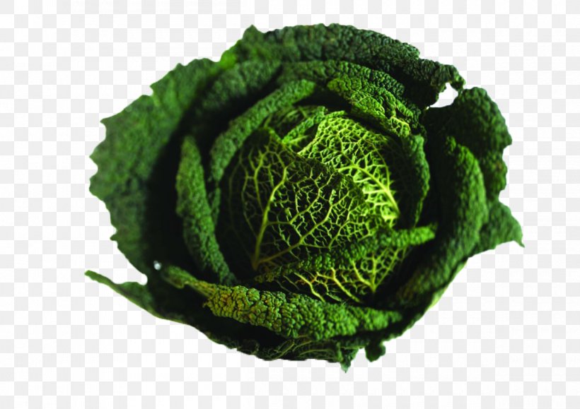 Savoy Cabbage Broccoli Vegetable Capitata Group, PNG, 1200x848px, Savoy Cabbage, Brassica, Brassica Oleracea, Broccoli, Cabbage Download Free