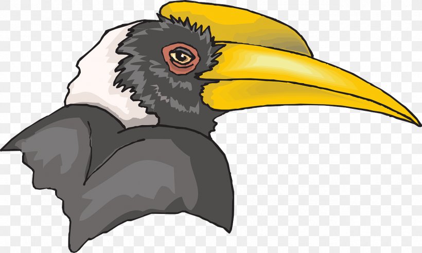 Bird Great Hornbill Clip Art, PNG, 1280x770px, Bird, Beak, Bird Of Prey, Coraciiformes, Drawing Download Free