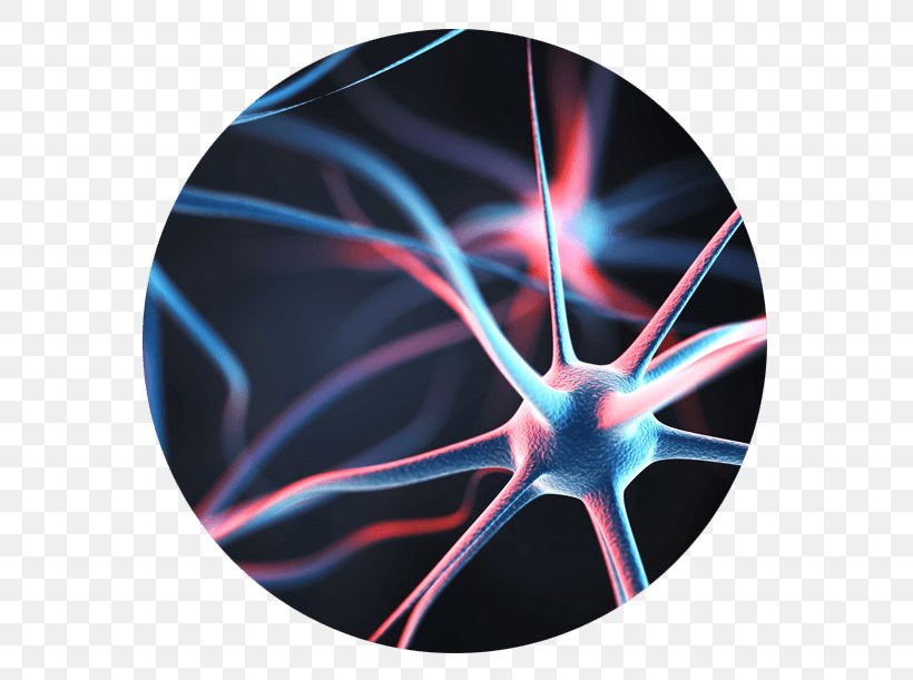 Neuron Behavioural Economics Agy Brain Nervous System, PNG, 586x611px, Neuron, Agy, Artificial Neural Network, Brain, Electric Blue Download Free