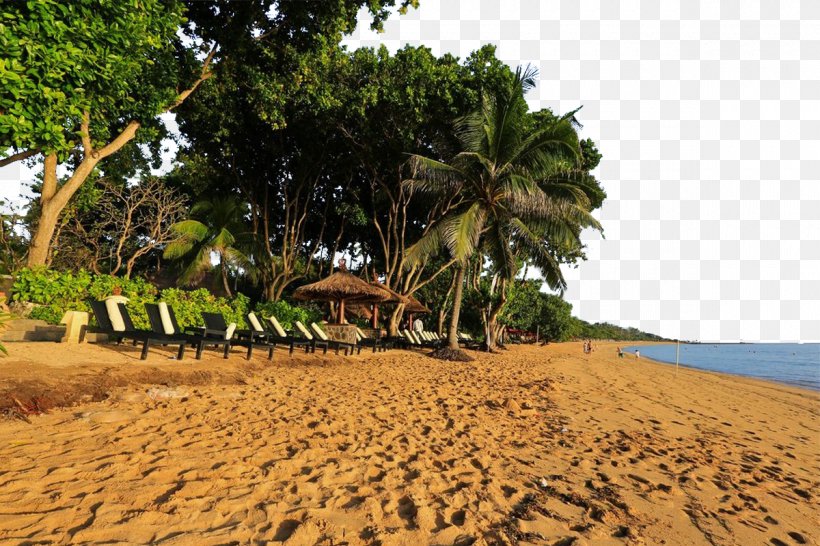 Nusa Dua Beach Bali, PNG, 1200x800px, Nusa Dua, Agriculture, Arecales, Bali, Beach Download Free