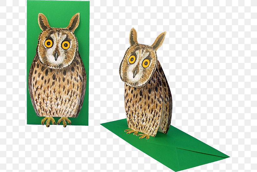 Owl Fauna Beak Wildlife, PNG, 650x547px, Owl, Beak, Bird, Bird Of Prey, Fauna Download Free