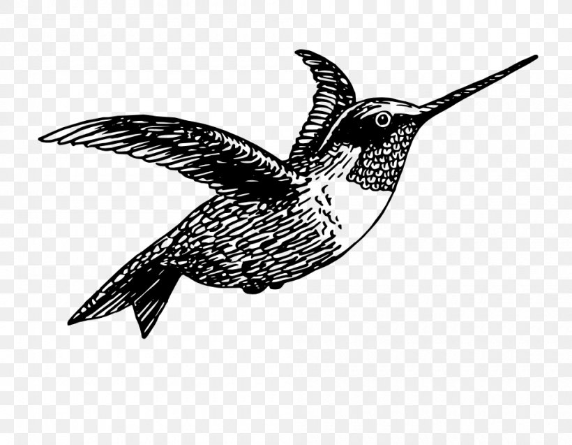 Ruby-throated Hummingbird Pillow Clip Art, PNG, 1000x777px, Hummingbird, Archilochus, Beak, Bird, Black And White Download Free