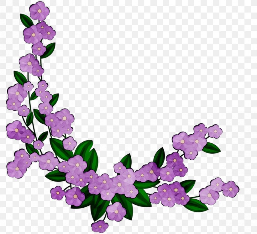 Body Jewellery Human Body, PNG, 1185x1079px, Body Jewellery, Blossom, Branch, Cut Flowers, Dendrobium Download Free