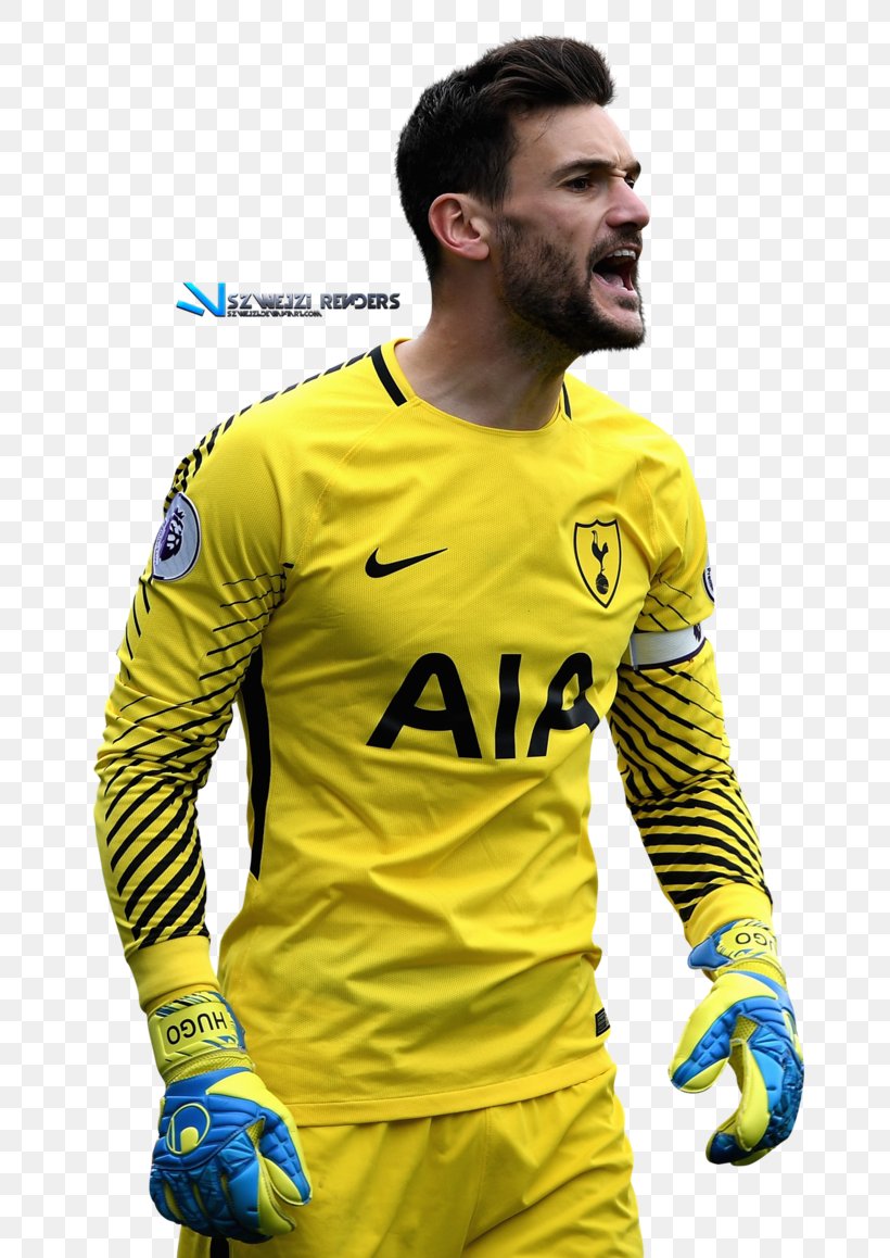 Hugo Lloris Tottenham Hotspur F.C. 2017–18 Premier League France National Football Team Football Player, PNG, 689x1158px, Hugo Lloris, Art, Facial Hair, Football, Football Player Download Free