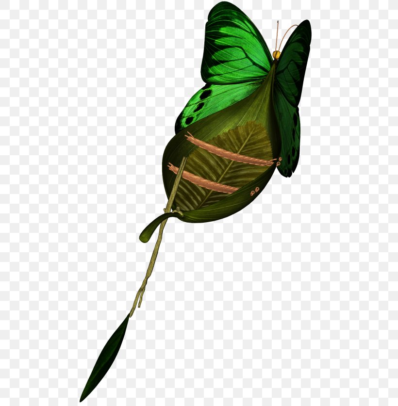 Leaf Plant Stem, PNG, 500x837px, Leaf, Butterfly, Insect, Invertebrate, Moths And Butterflies Download Free