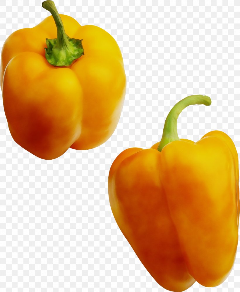 Orange, PNG, 2217x2692px, Watercolor, Bell Pepper, Bell Peppers And Chili Peppers, Capsicum, Food Download Free