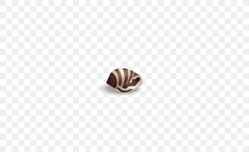 Brown Seashell, PNG, 500x500px, Brown, Seashell Download Free