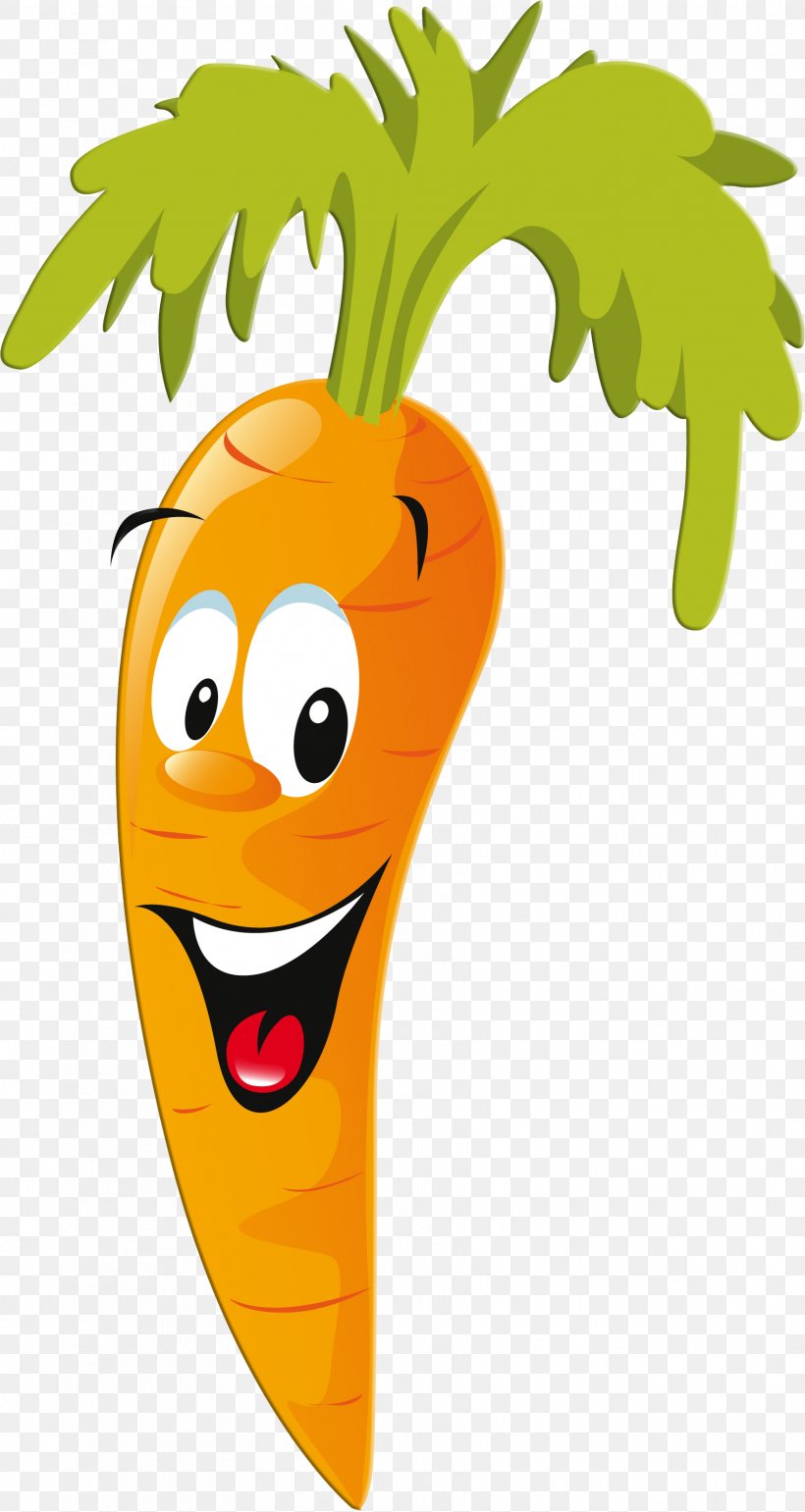 Clip Art Cartoon Carrot Vector Graphics, PNG, 1761x3310px, Cartoon, Art,  Carrot, Drawing, Food Download Free