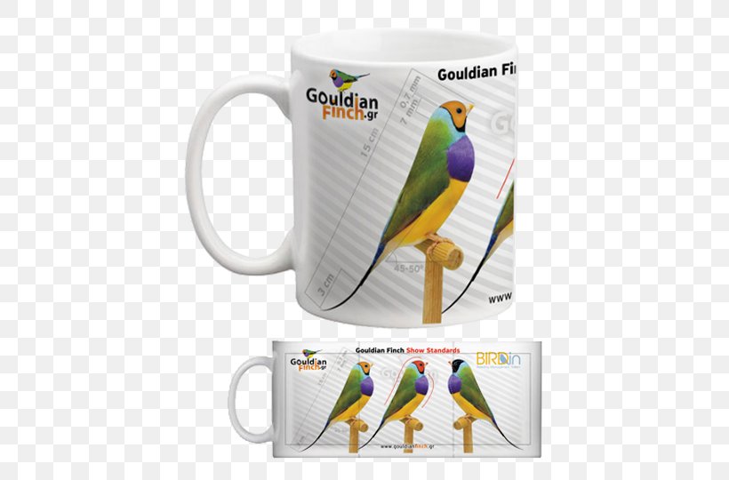 Parakeet Mug Macaw, PNG, 500x540px, Parakeet, Beak, Bird, Drinkware, Macaw Download Free