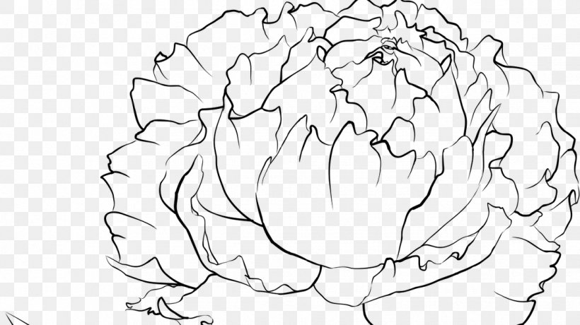 Peony Drawing Coloring Book Photography, PNG, 1121x630px, Watercolor, Cartoon, Flower, Frame, Heart Download Free
