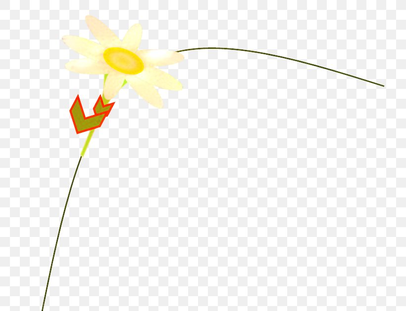 Petal Yellow Graphics Line Flowering Plant, PNG, 734x630px, Petal, Botany, Flower, Flowering Plant, Narcissus Download Free