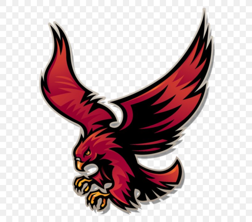 Roberts Wesleyan College Roberts Wesleyan Redhawks Men's Basketball Stonehill College Mercyhurst University University Of The District Of Columbia, PNG, 720x720px, Roberts Wesleyan College, Basketball, Beak, Bird, Bird Of Prey Download Free