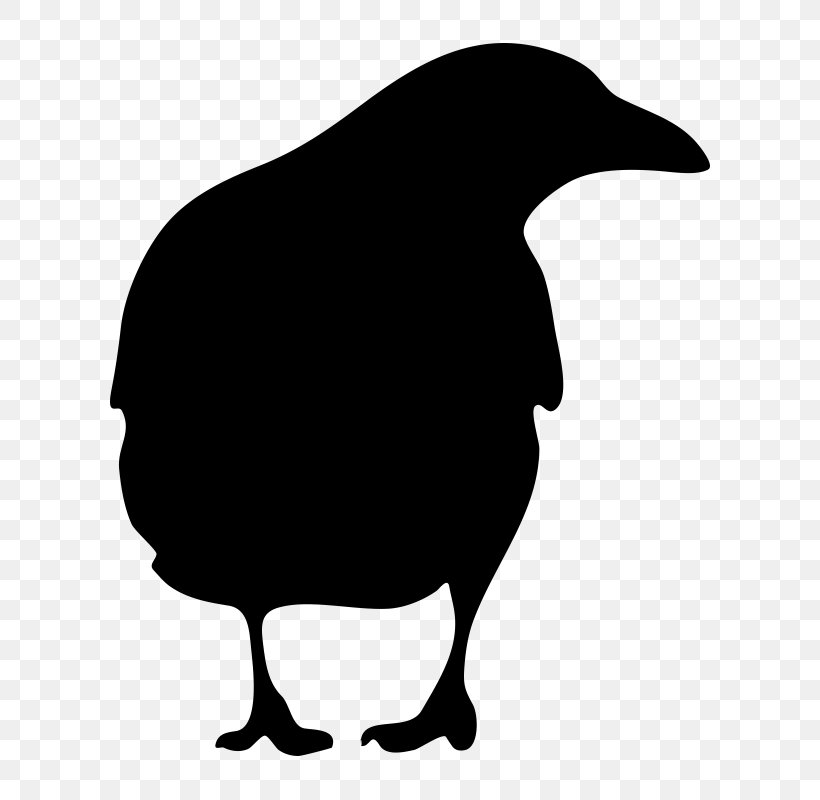 American Crow Common Raven Clip Art, PNG, 800x800px, American Crow, Beak, Bird, Black And White, Common Raven Download Free