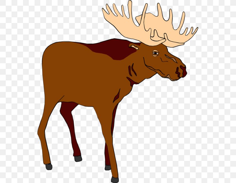 Clip Art, PNG, 559x637px, Thumbnail, Antler, Cattle Like Mammal, Deer, Document Download Free