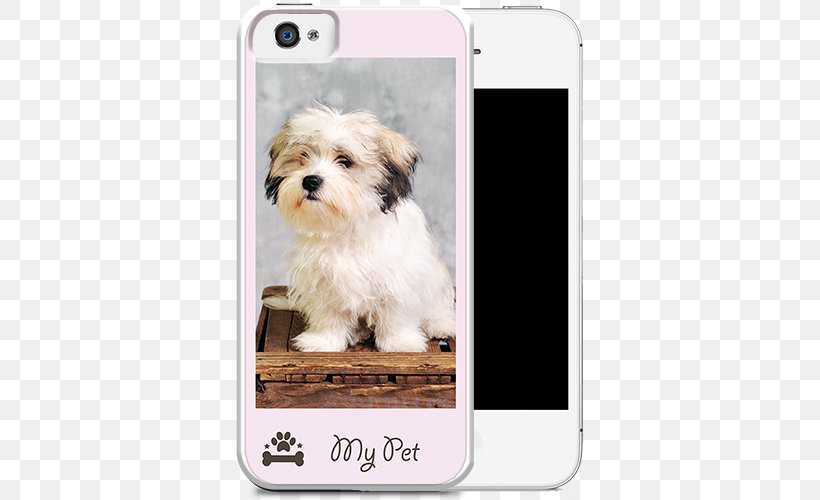 Havanese Dog Morkie Puppy Maltese Dog Shih Tzu, PNG, 500x500px, Havanese Dog, Carnivoran, Companion Dog, Dog, Dog Breed Download Free