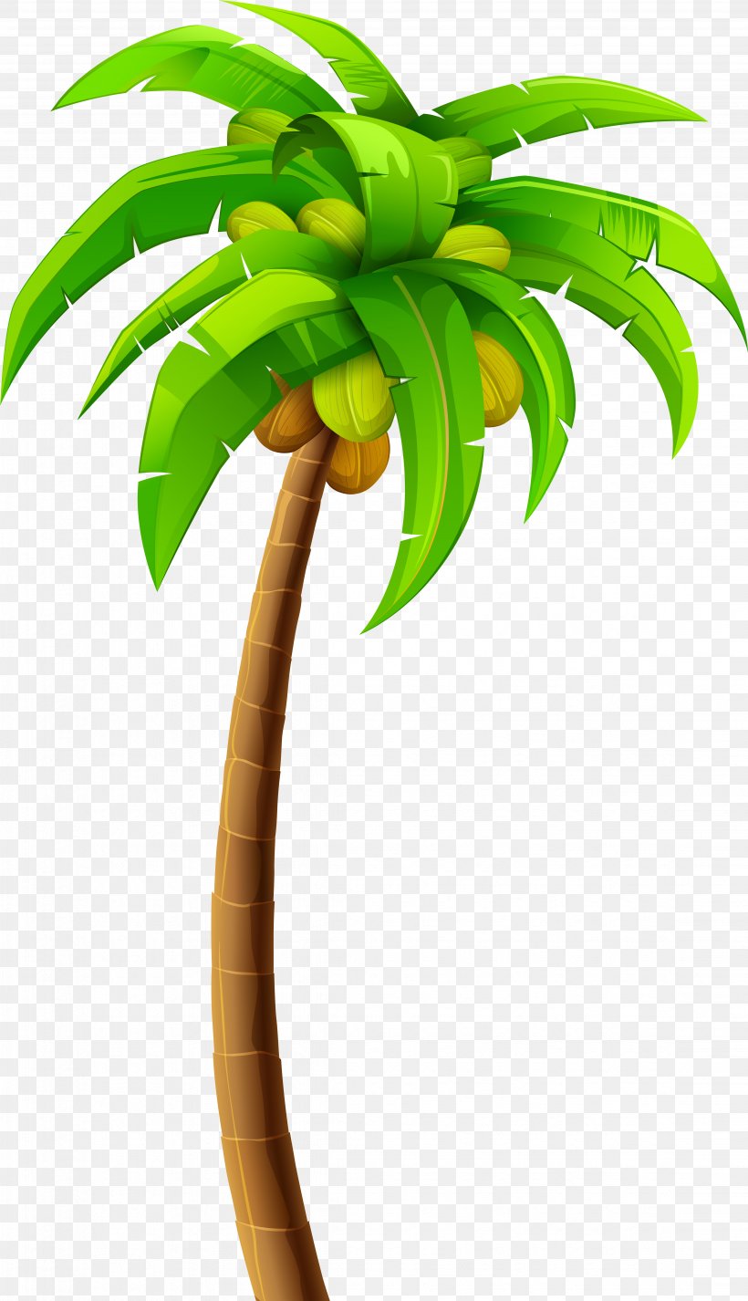 Palm Tree Silhouette, PNG, 4532x7883px, Palm Trees, Arecales, Flower, Flowerpot, Houseplant Download Free