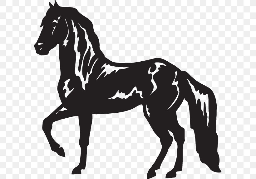 Paso Fino Peruvian Paso American Paint Horse Tiger Horse Rocky Mountain Horse, PNG, 600x575px, Paso Fino, American Paint Horse, Animal, Black And White, Breed Download Free