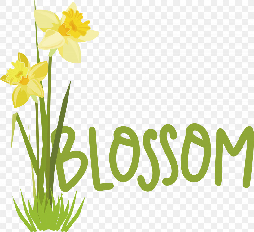 Plant Stem Daffodil Font Logo Yellow, PNG, 5266x4822px, Plant Stem, Biology, Daffodil, Happiness, Logo Download Free