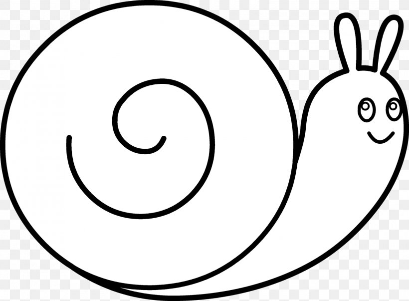 Snail Black And White Drawing Theba Pisana Clip Art, PNG, 1600x1177px, Snail, Area, Art, Black, Black And White Download Free