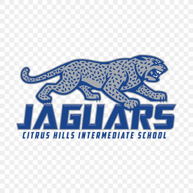 Citrus Hills Intermediate Jaguar Cars Middle School Carnivora, PNG, 1800x1800px, Jaguar, Area, Blue, Brand, Carnivora Download Free