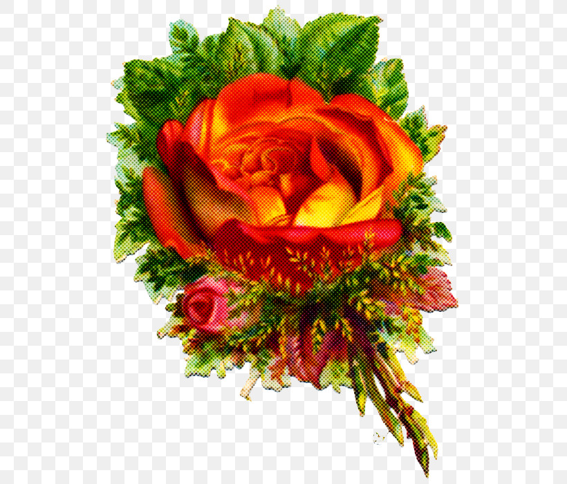 Floral Design, PNG, 526x700px, Floral Design, Cut Flowers, Flower, Flower Bouquet, Garden Download Free