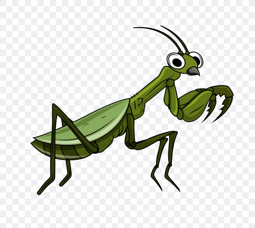 Grasshopper Cartoon Clip Art, PNG, 1024x918px, Insect, Amphibian, Animation, Arthropod, Cartoon Download Free