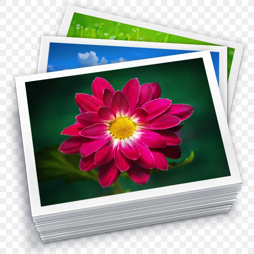 IPhoto Library Apple Photos, PNG, 1024x1024px, Iphoto, Aperture, Apple Photos, Chrysanths, Computer Software Download Free