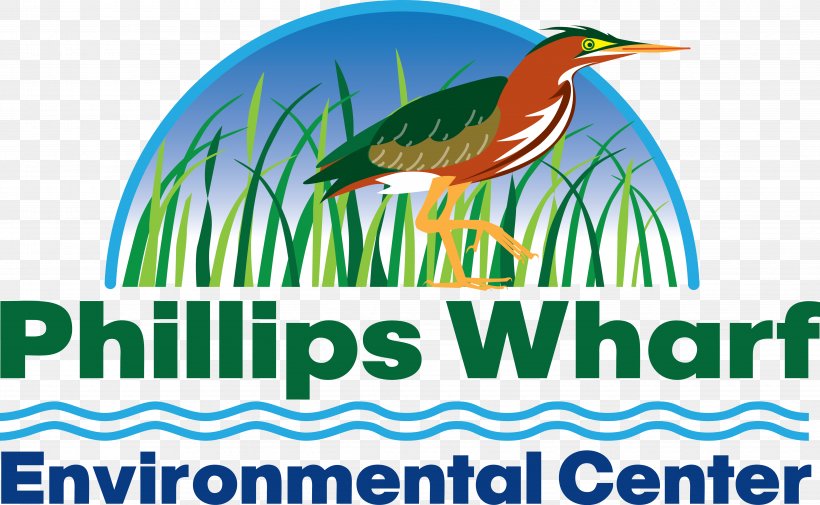 Phillips Wharf Environmental Center Tilghman WineFest At St. Michaels Natural Environment, PNG, 4864x3001px, St Michaels, Advertising, Beak, Bird, Brand Download Free