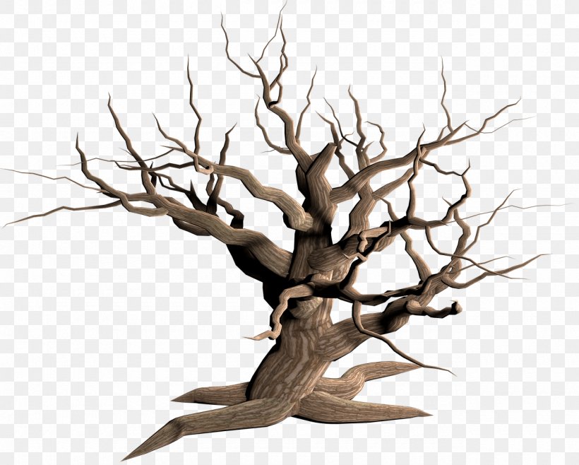 Tree Snag Clip Art, PNG, 1280x1028px, Tree, Branch, Conifers, Houseplant, Plant Download Free
