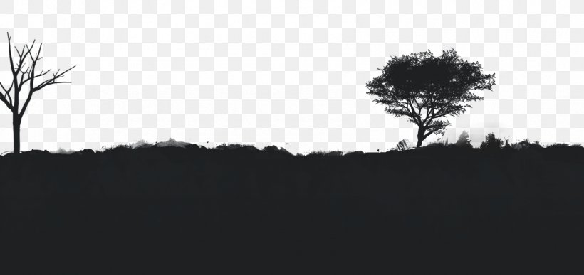 Desktop Wallpaper Silhouette Kozhikode Clip Art, PNG, 1694x800px, Silhouette, Atmosphere, Atmospheric Phenomenon, Black, Black White M Download Free