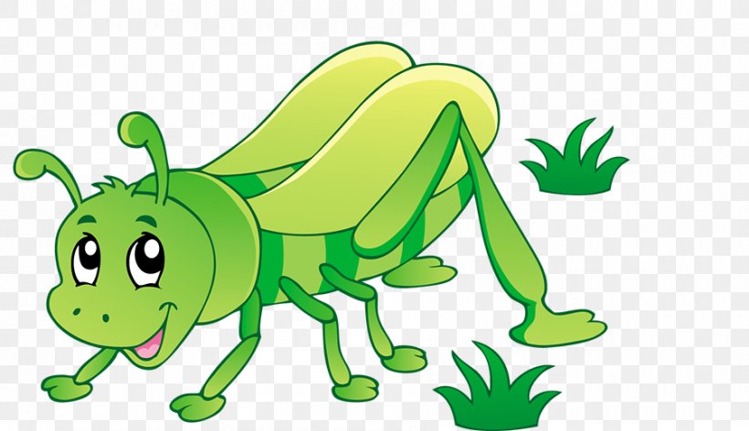 Insect Clip Art, PNG, 900x519px, Insect, Amphibian, Area, Art, Cartoon Download Free