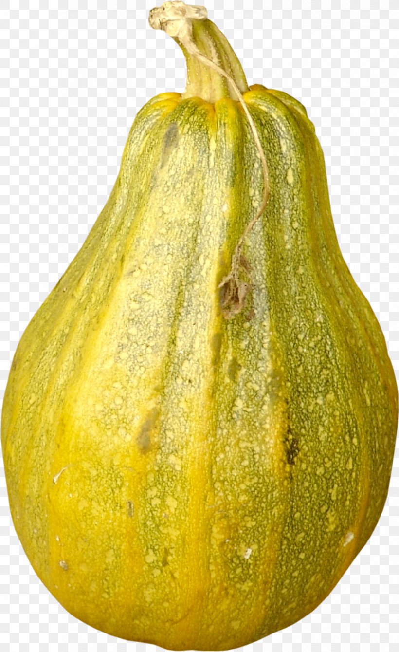 Pattypan Squash Calabaza Gourd Winter Squash Pumpkin, PNG, 839x1371px, Pattypan Squash, Calabash, Calabaza, Citron, Commodity Download Free