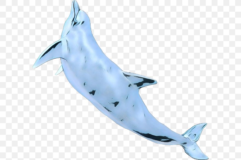 Common Bottlenose Dolphin Tucuxi Rough-toothed Dolphin Shark, PNG, 600x546px, Common Bottlenose Dolphin, Animal Figure, Biology, Blue, Bottlenose Dolphin Download Free