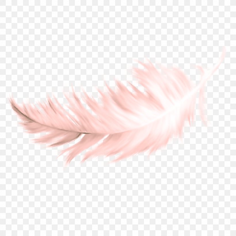 Feather, PNG, 1024x1024px, Feather, Eyelash, Fashion Accessory, Fur, Pink Download Free