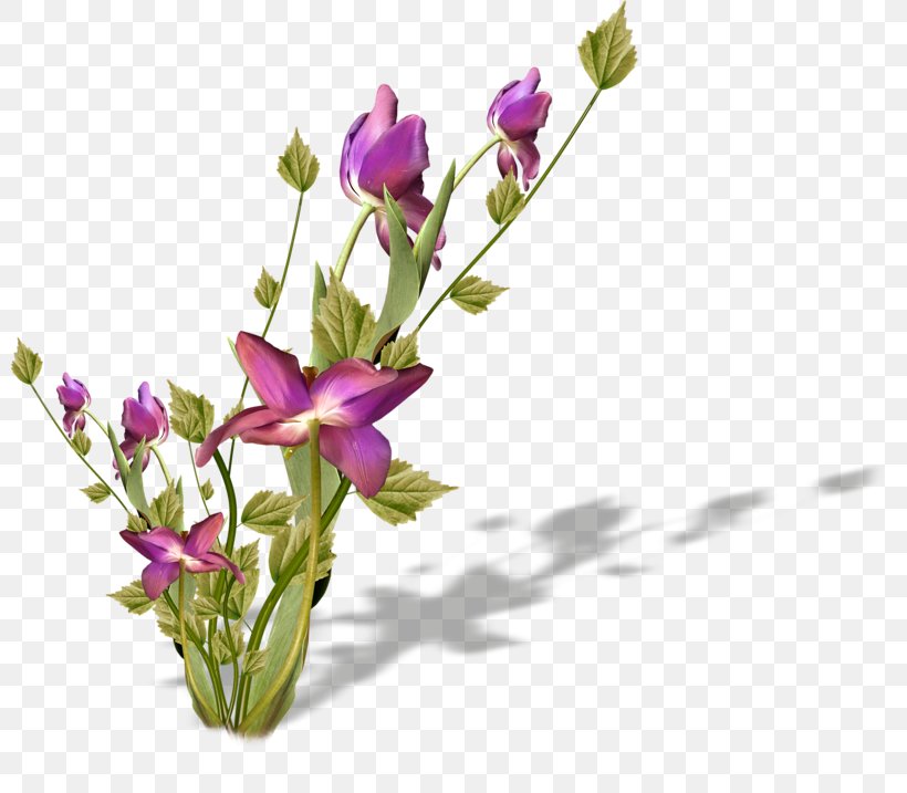 Floral Design Cut Flowers Petal Plant, PNG, 800x717px, Floral Design, Bud, Cut Flowers, Floristry, Flower Download Free
