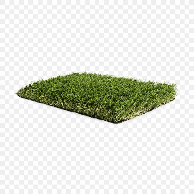 Grass Green Lawn Plant Shrub, PNG, 1200x1200px, Grass, Green, Lawn, Plant, Shrub Download Free