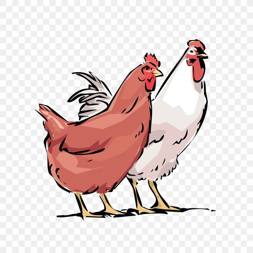 Leghorn Chicken Rooster Poultry Farming Fowl, PNG, 4000x4000px, Leghorn Chicken, Artwork, Bag, Beak, Bird Download Free