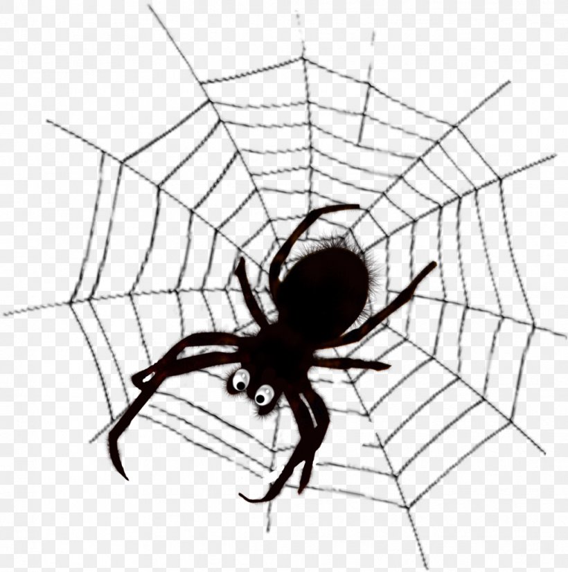 Widow Spiders Spider Web Black And White Clip Art, PNG, 1016x1024px, Widow Spiders, Arachnid, Area, Arthropod, Artwork Download Free