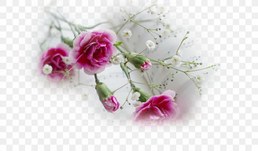 Desktop Wallpaper Pink Flowers Desktop Metaphor Carnation, PNG, 968x567px, 4k Resolution, 5k Resolution, Pink Flowers, Artificial Flower, Blossom Download Free