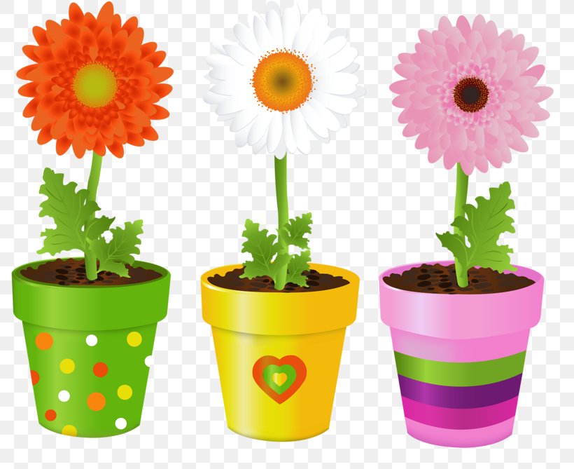 Flowerpot Vase Clip Art, PNG, 800x669px, Flowerpot, Chamomile, Color, Common Daisy, Daisy Family Download Free