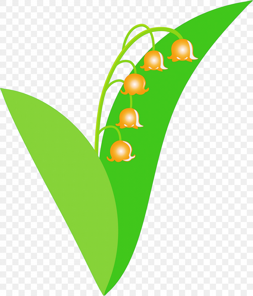 Lily Bell Flower, PNG, 2561x3000px, Lily Bell, Flower, Green, Leaf, Logo Download Free