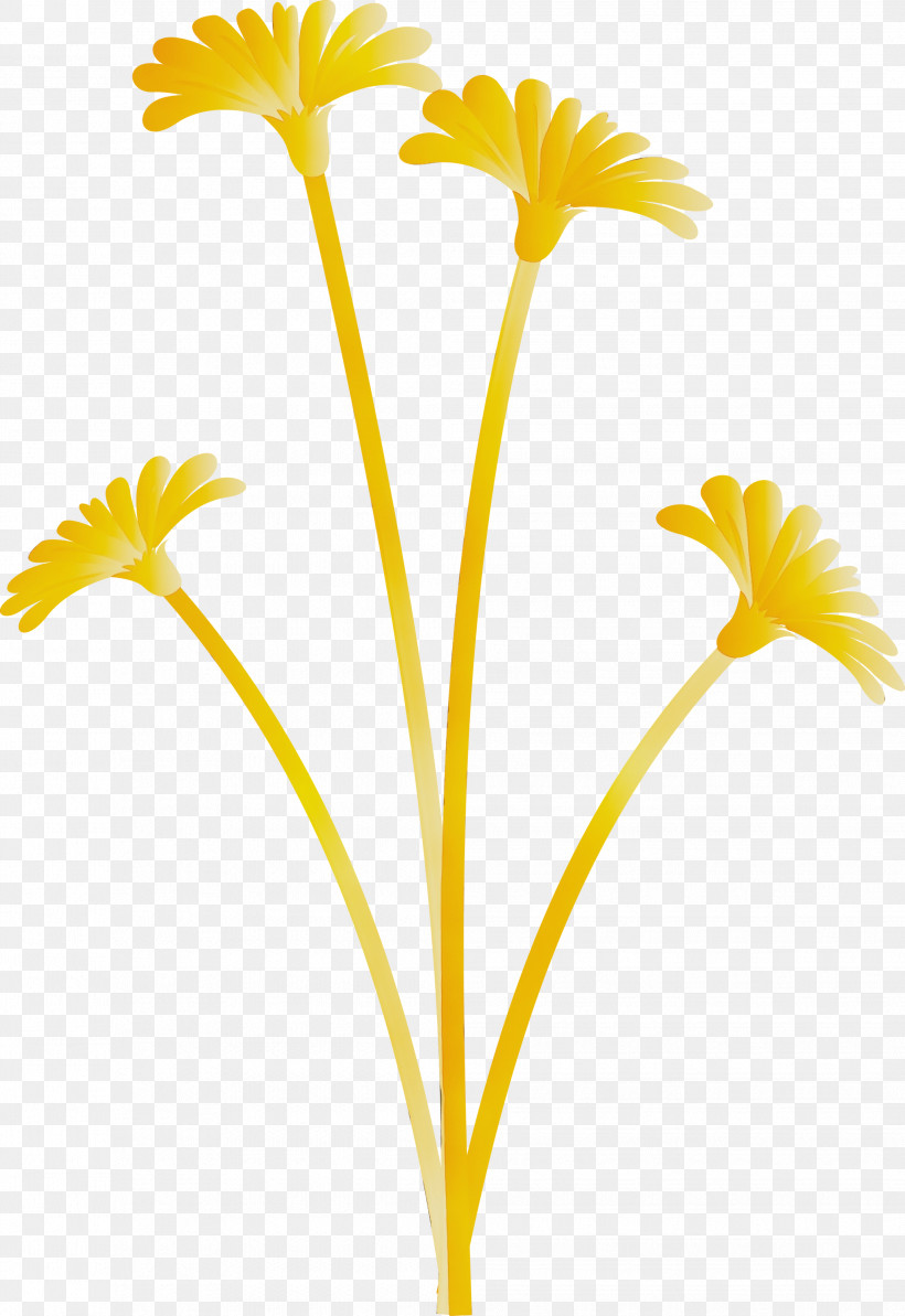 Plant Stem Kościół Narodzenia Nmp W Królowej Górnej Dandelion, PNG, 2062x3000px, Dandelion Flower, Cut Flowers, Dandelion, Flower, Paint Download Free