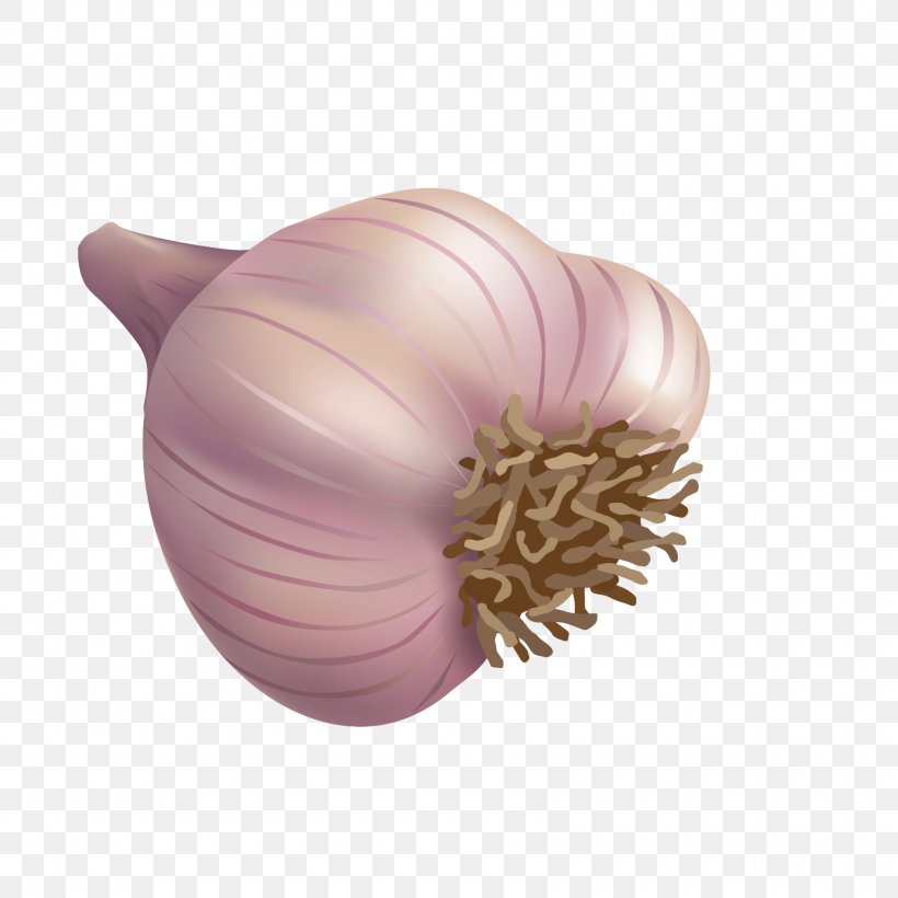 Spice Garlic Onion, PNG, 1690x1690px, Spice, Black Pepper, Condiment, Food, Garlic Download Free